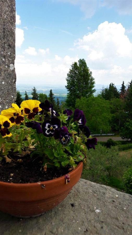 Ferienwohnung A Due Passi Dal Chianti Cavriglia Exterior foto