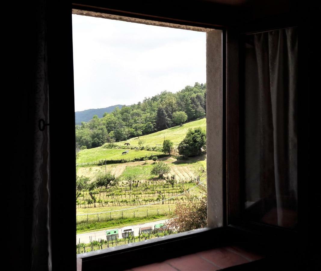 Ferienwohnung A Due Passi Dal Chianti Cavriglia Exterior foto