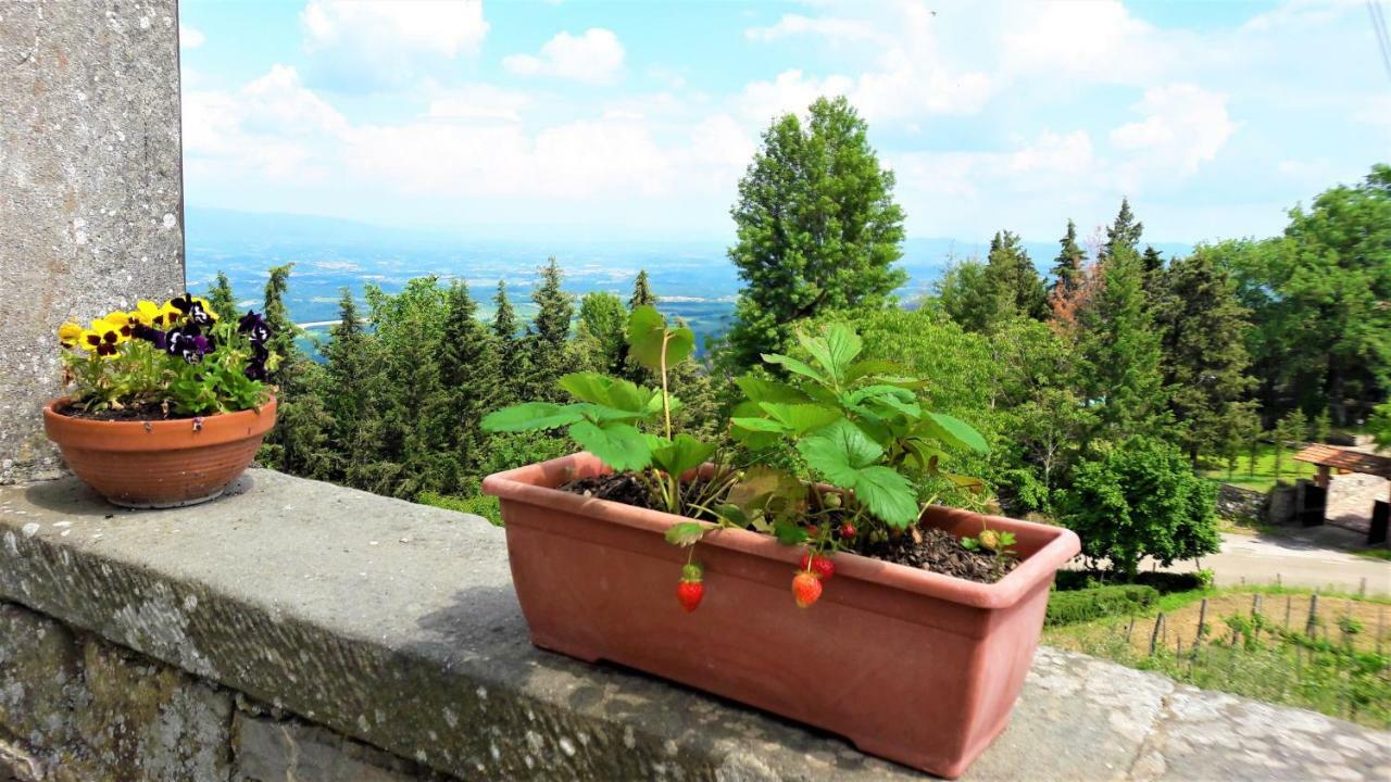 Ferienwohnung A Due Passi Dal Chianti Cavriglia Exterior foto